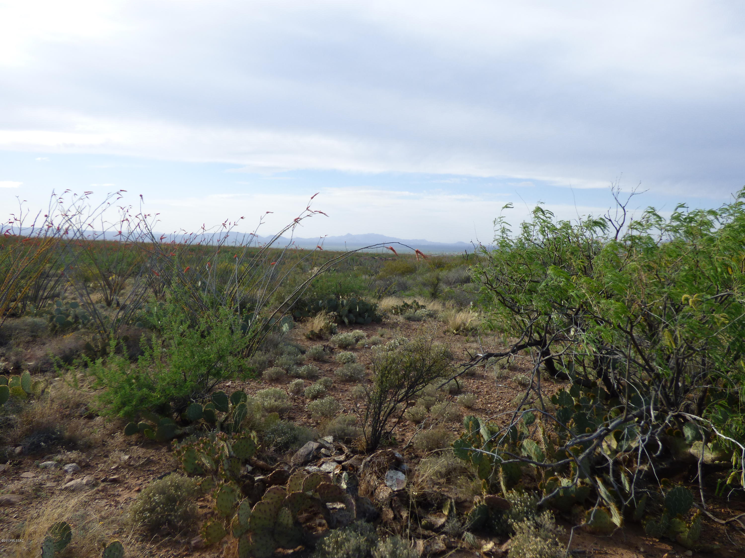 0 East Ocotillo Rim Trail North Vail, AZ 85641 - Photo 4 of 9