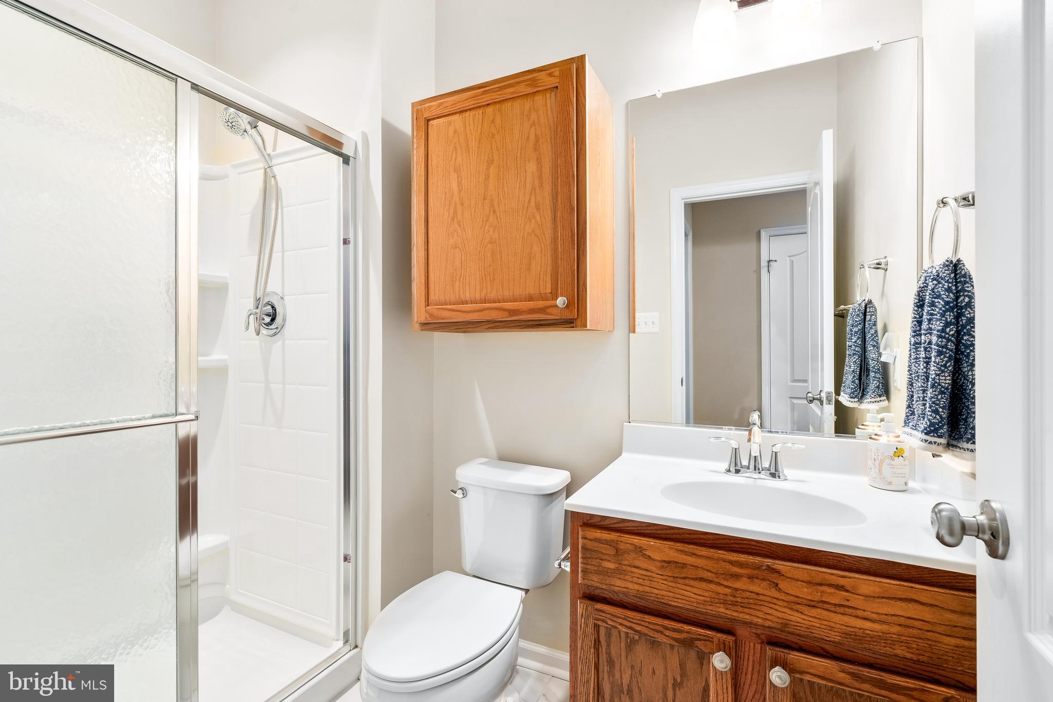 8479 Randell Ridge Road Frederick, MD 21704 - Photo 36 of 50 a bathroom with a sink a toilet and shower
