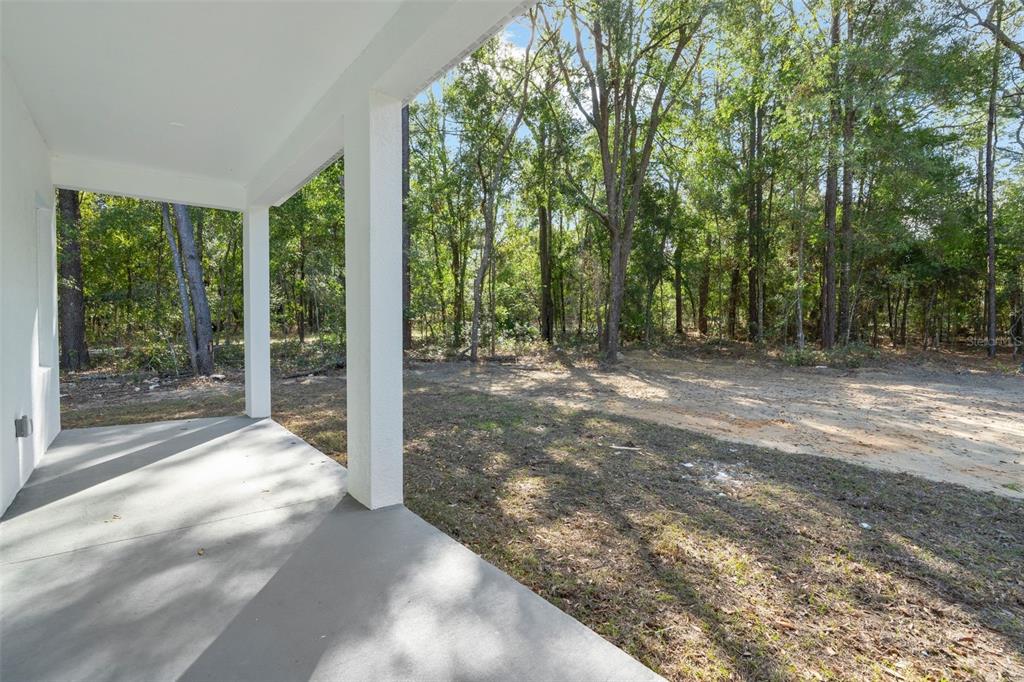 8264 Southwest 128th Terrace Dunnellon, FL 34432 - Photo 25 of 27 a view of a yard with large trees and plants