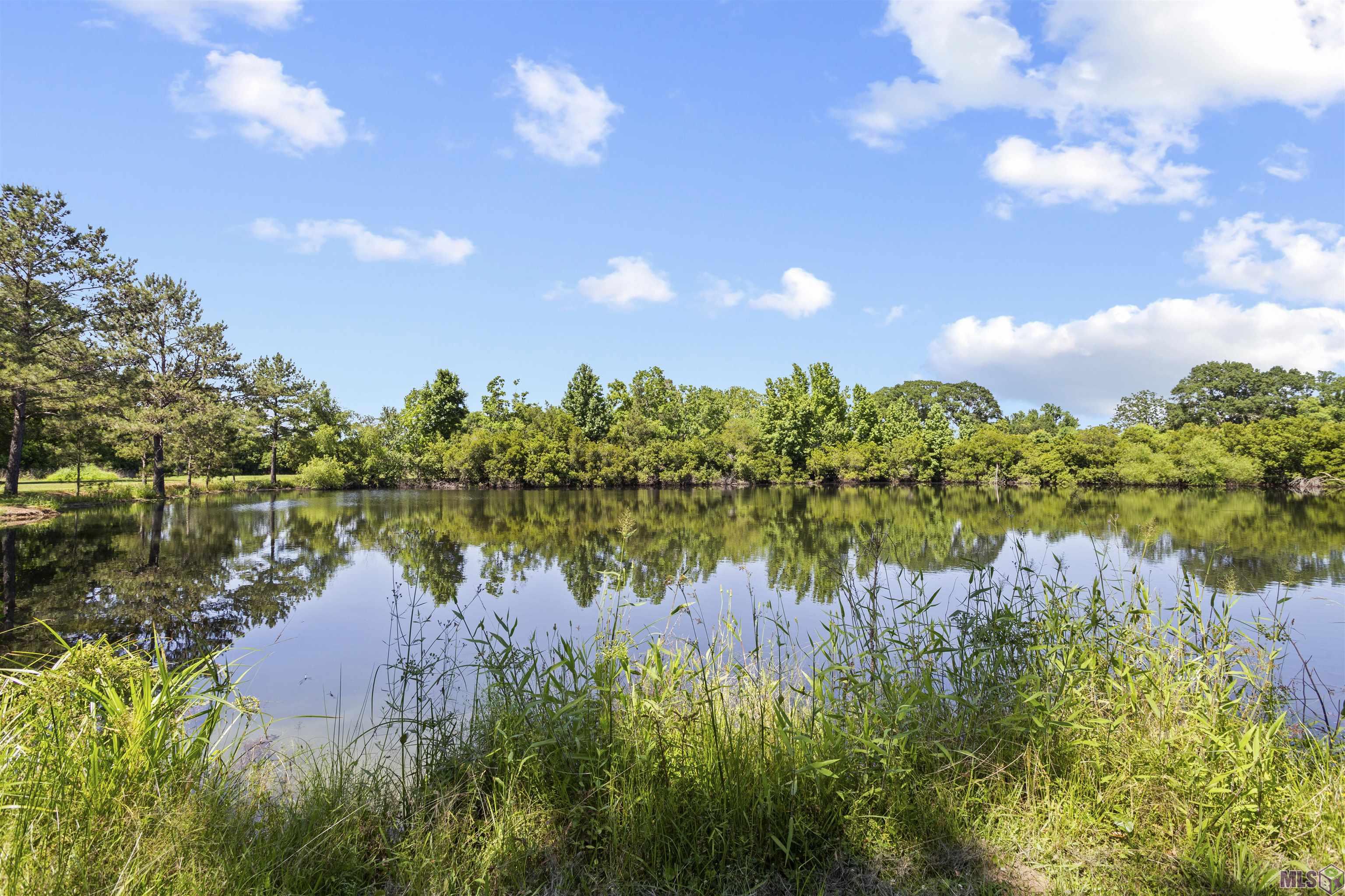 14572 Bluff Road Prairieville, LA 70769 - Photo 34 of 60