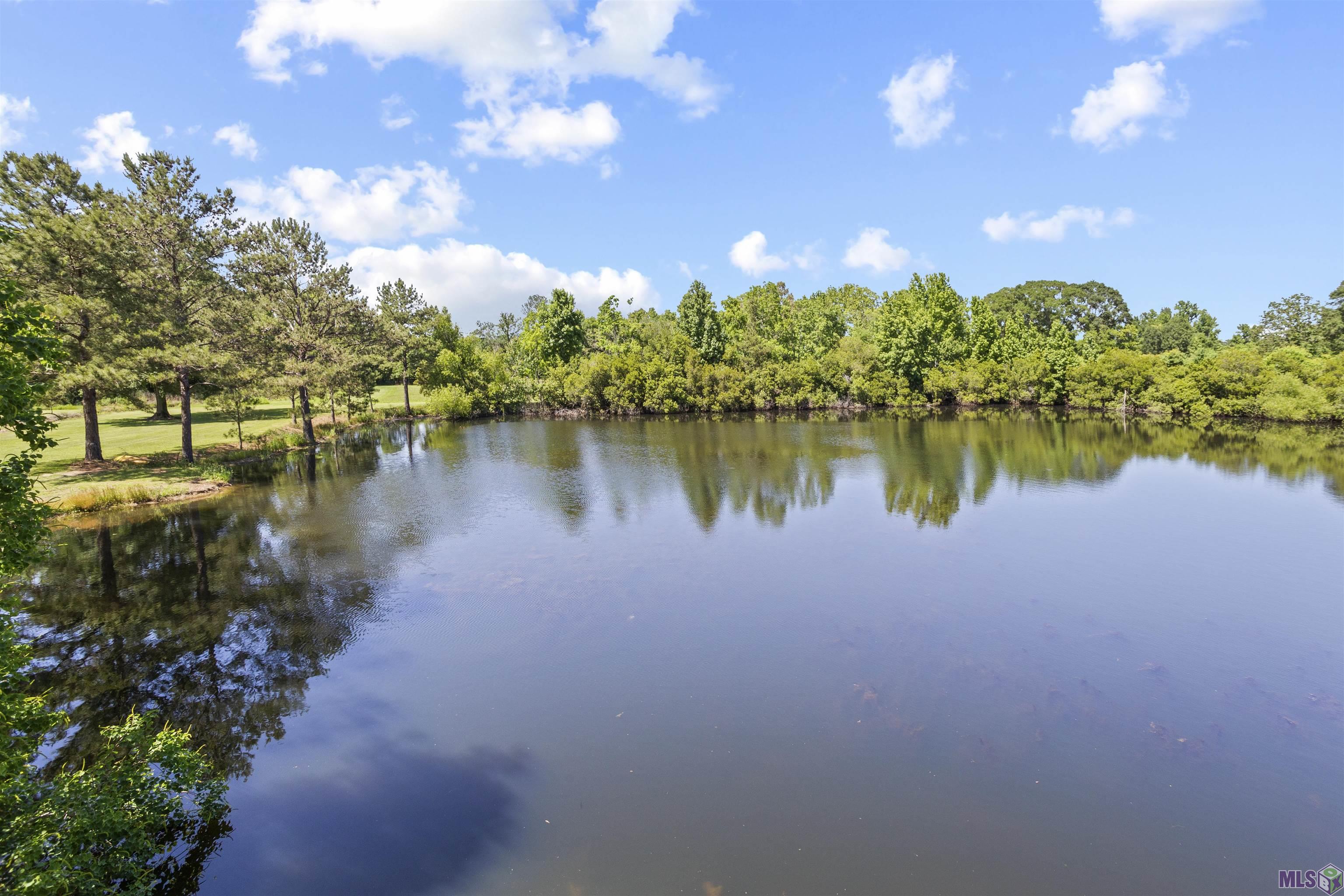 14572 Bluff Road Prairieville, LA 70769 - Photo 35 of 60