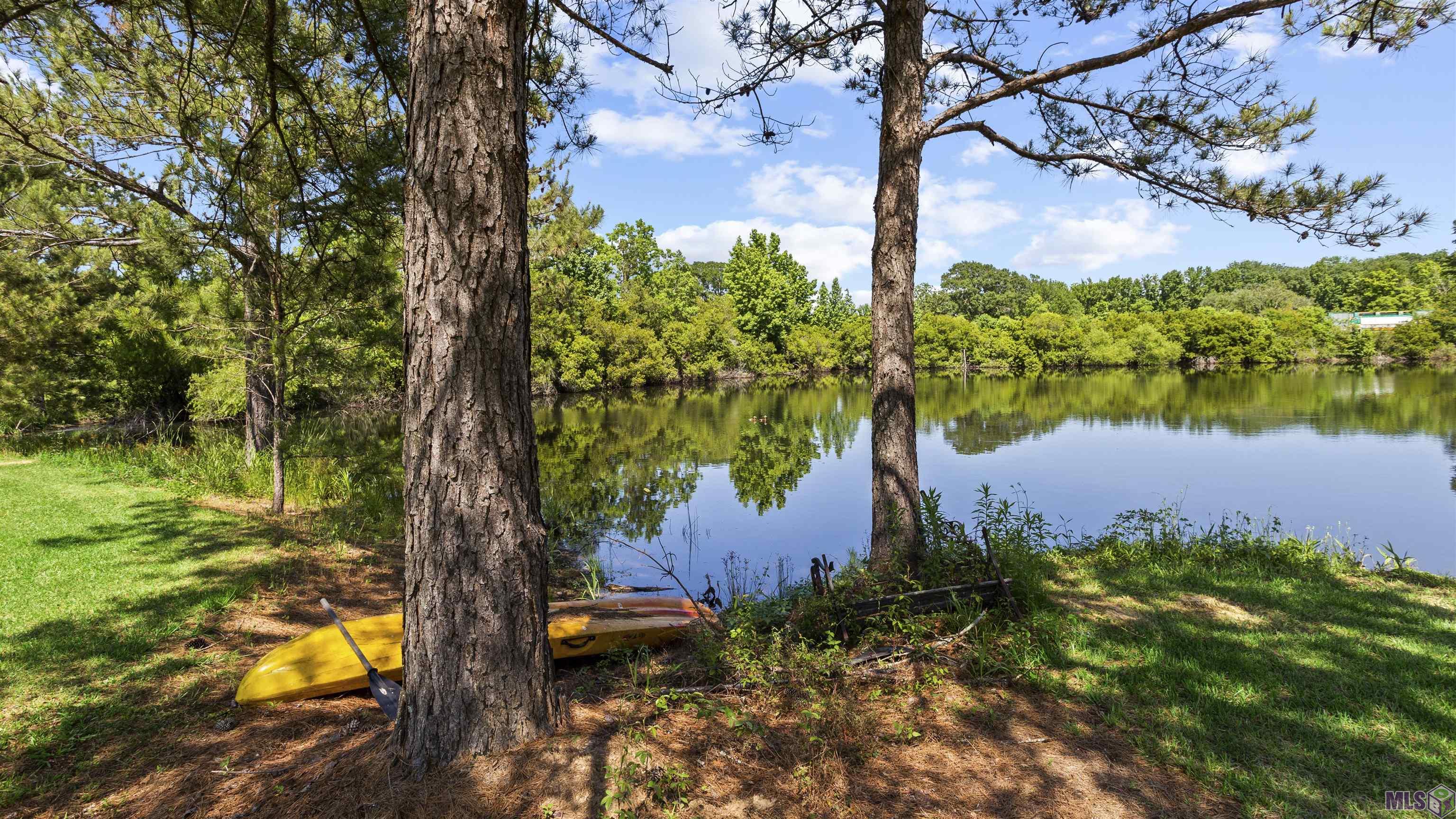14572 Bluff Road Prairieville, LA 70769 - Photo 36 of 60