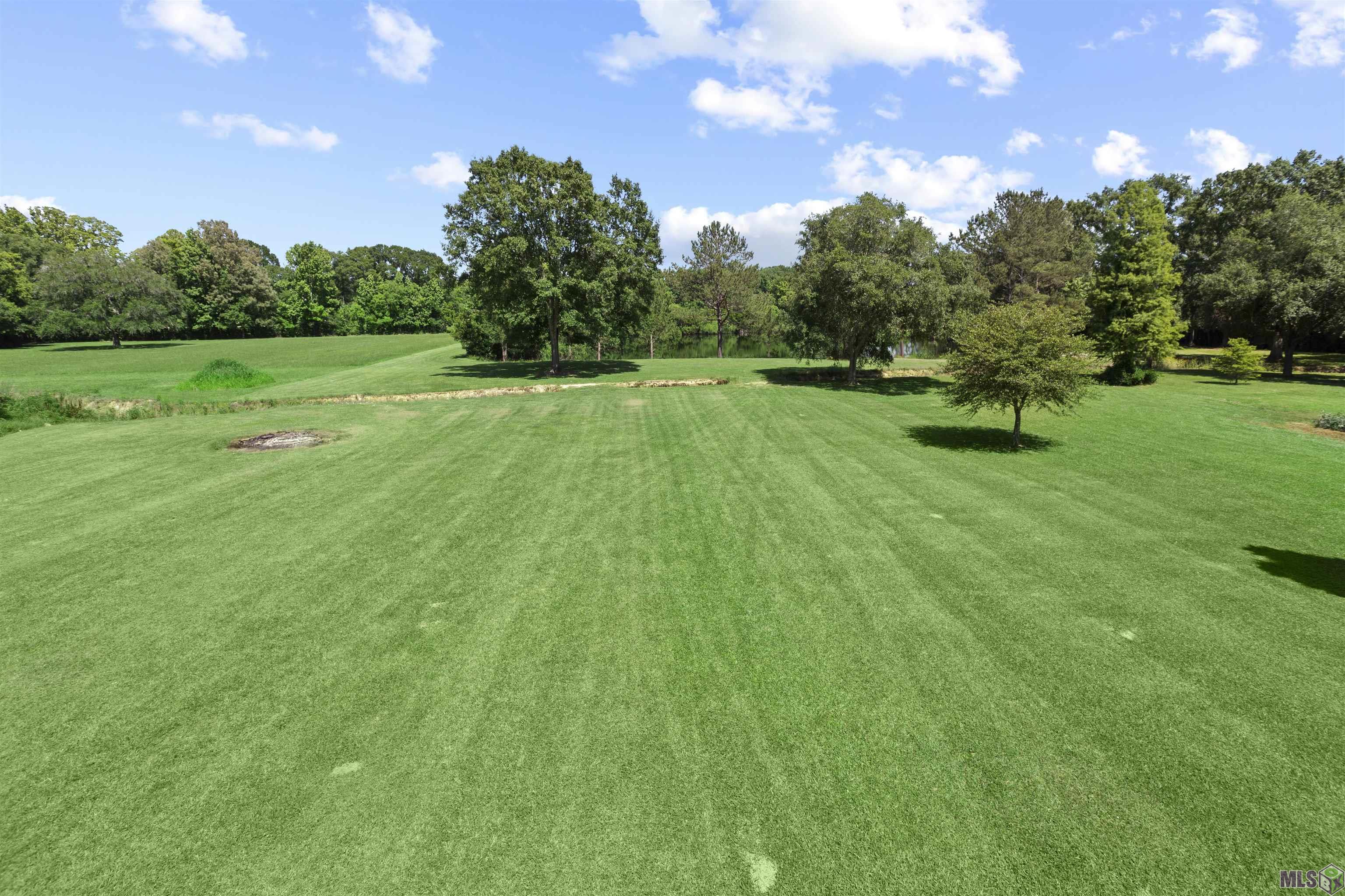 14572 Bluff Road Prairieville, LA 70769 - Photo 37 of 60