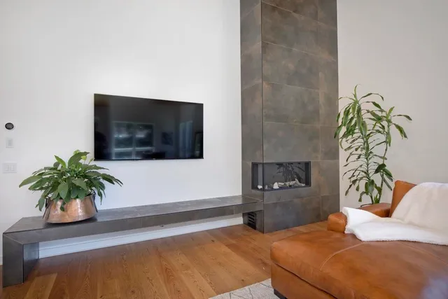a living room with furniture potted plant and a flat screen tv