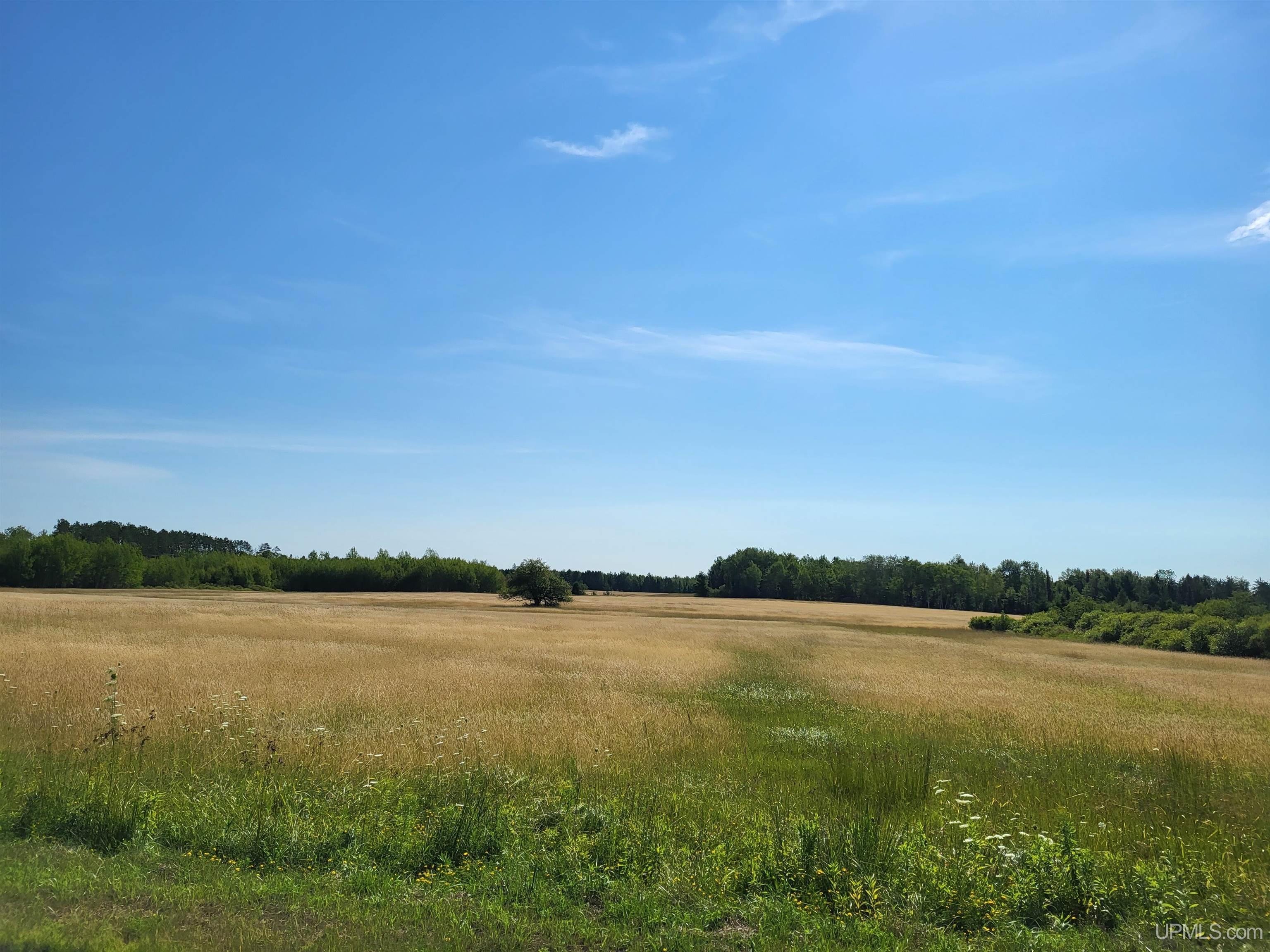 Tbd Tbd Hall Road Bruce Crossing, MI 49912 - Photo 2 of 7