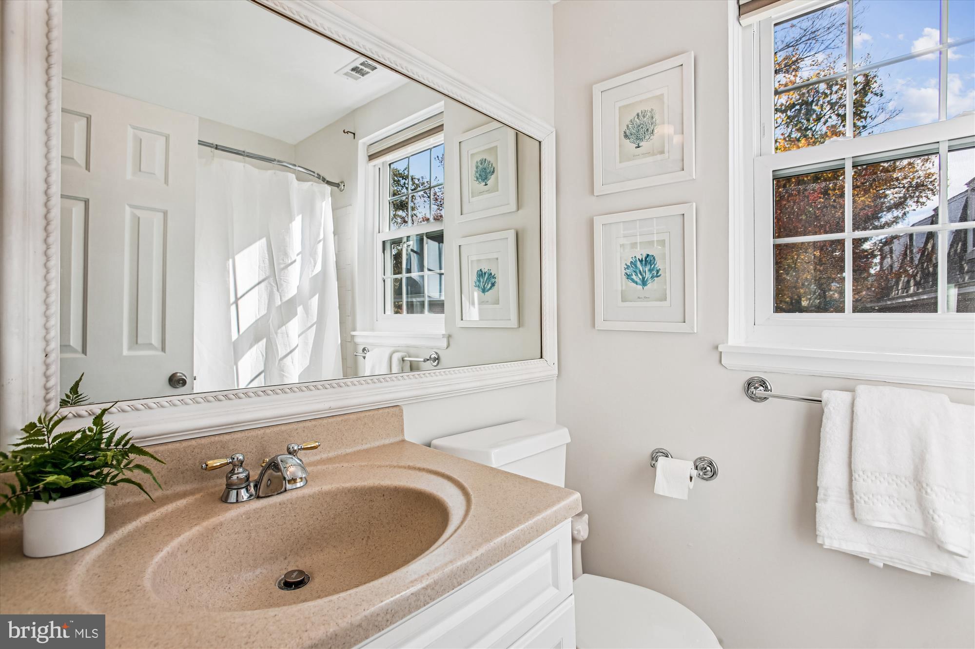 3000 South Columbus Street, Unit B2 Arlington, VA 22206 - Photo 15 of 50 Bath