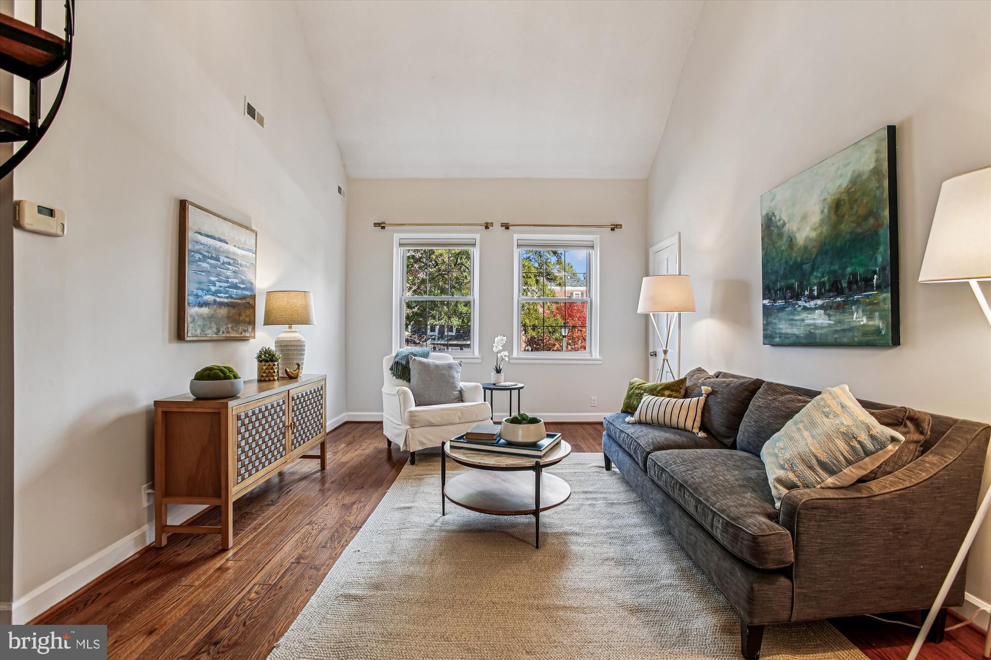 3000 South Columbus Street, Unit B2 Arlington, VA 22206 - Photo 2 of 50 Bright light filling the cathedral ceiling