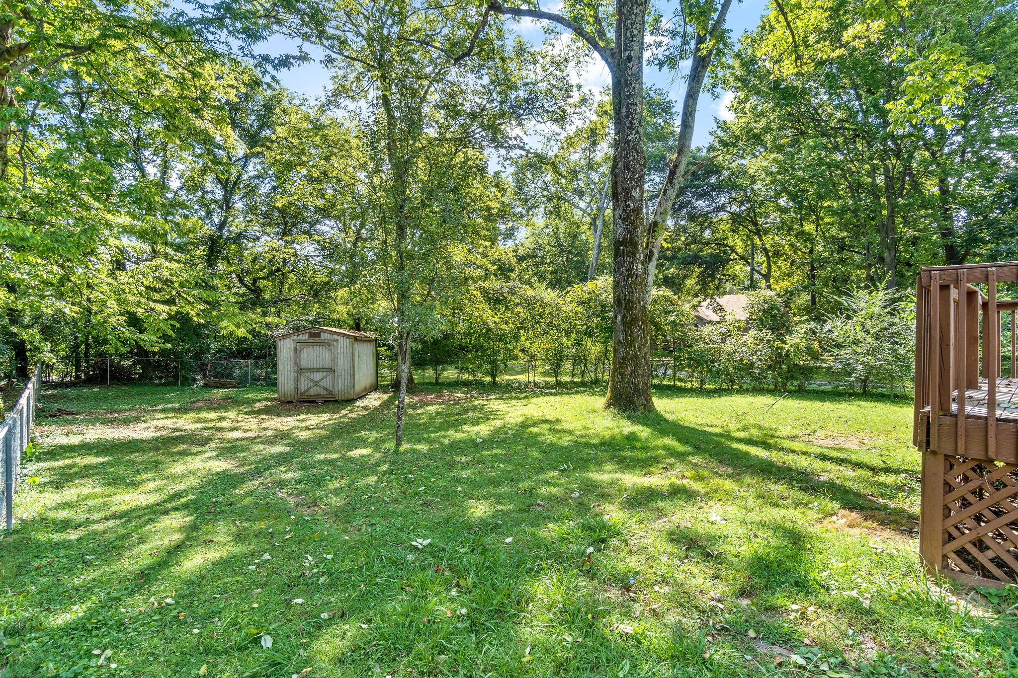 742 Needmore Road Clarksville, TN 37040 - Photo 30 of 35 a backyard of a house with plants and large trees