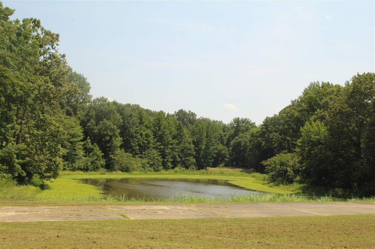 8163 Craven Road Bartlett, TN 38002 - Photo 4 of 5 Gallery Image 4