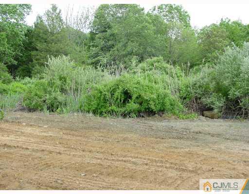 38 Burke Road Freehold, NJ 07728 - Photo 10 of 10 a view of a dirt road with plants and trees in the background