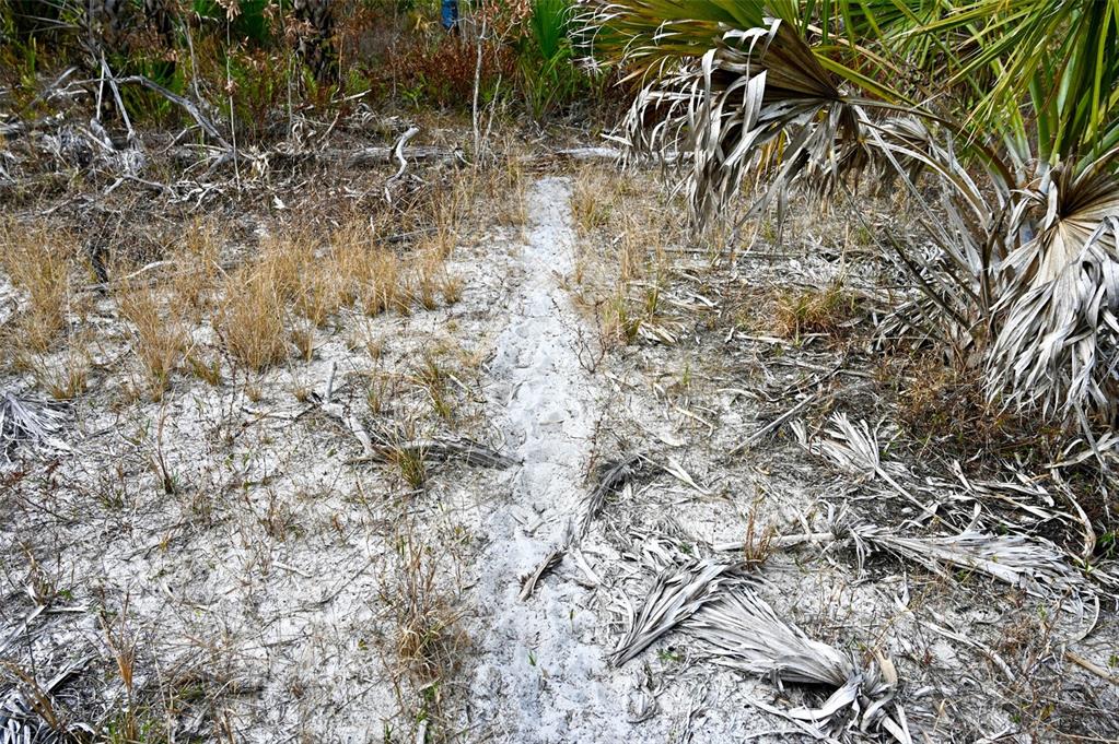 Black Burn Road Naples, FL 34117 - Photo 24 of 39 Gallery Image 24