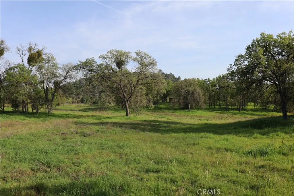 0 Douglas Road Coarsegold, CA 93614 - Photo 30 of 32