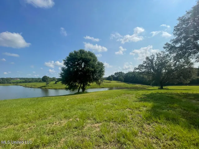 $60,148 | Lot 8 Conner Stringer Drive, Lucedale, MS 39452