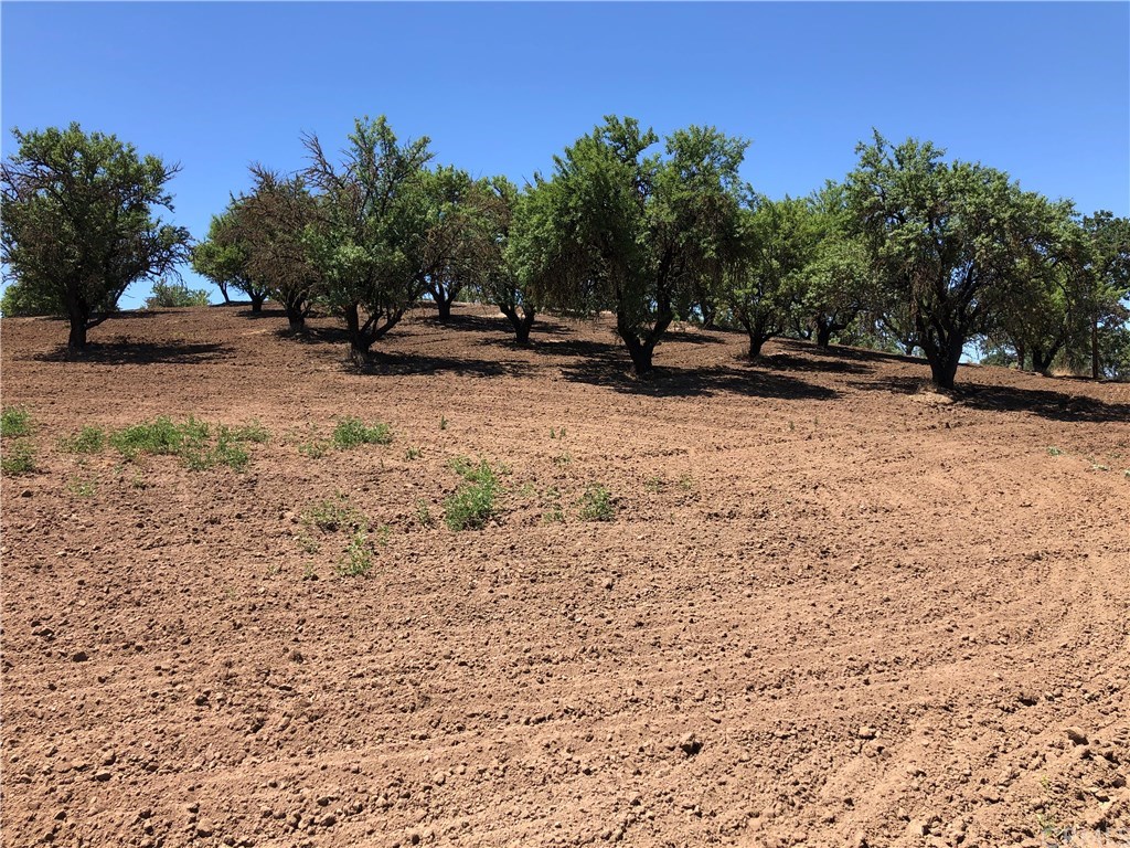 1865 Nacimiento Drive Paso Robles, CA 93446 - Photo 34 of 43 a view of outdoor space with playground
