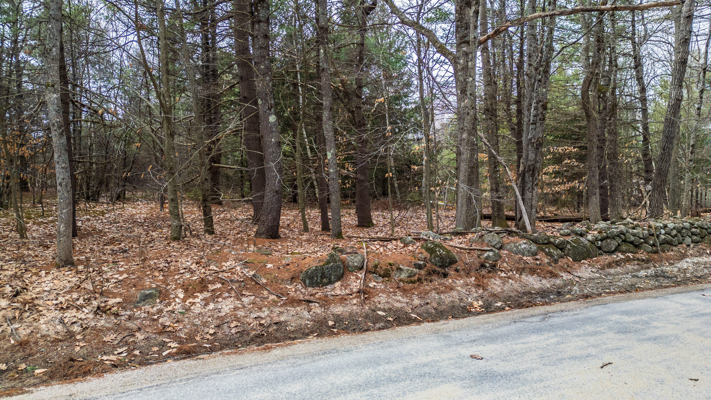 Lot 5 Dillion Road Harrison, ME 04040 - Photo 2 of 14 20260402gp-60018