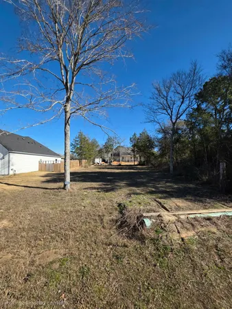 a view of lake with tree