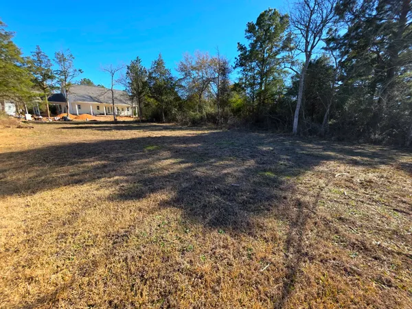 a view of a yard with large trees