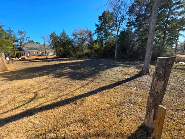 a view of a yard with a tree