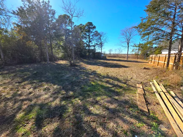 a view of road with large trees