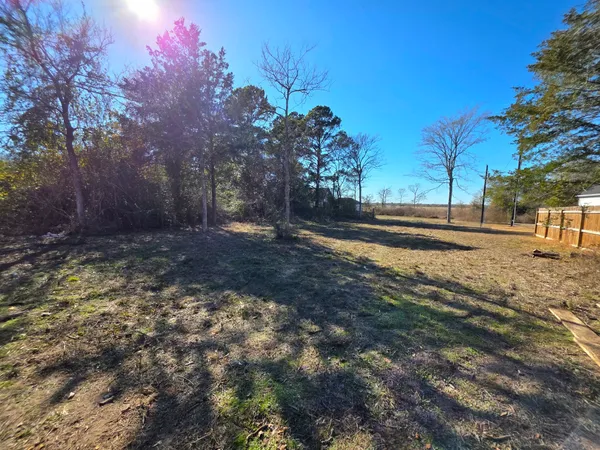 a view of a yard with an outdoor space