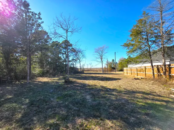 a view of a large yard with a large trees
