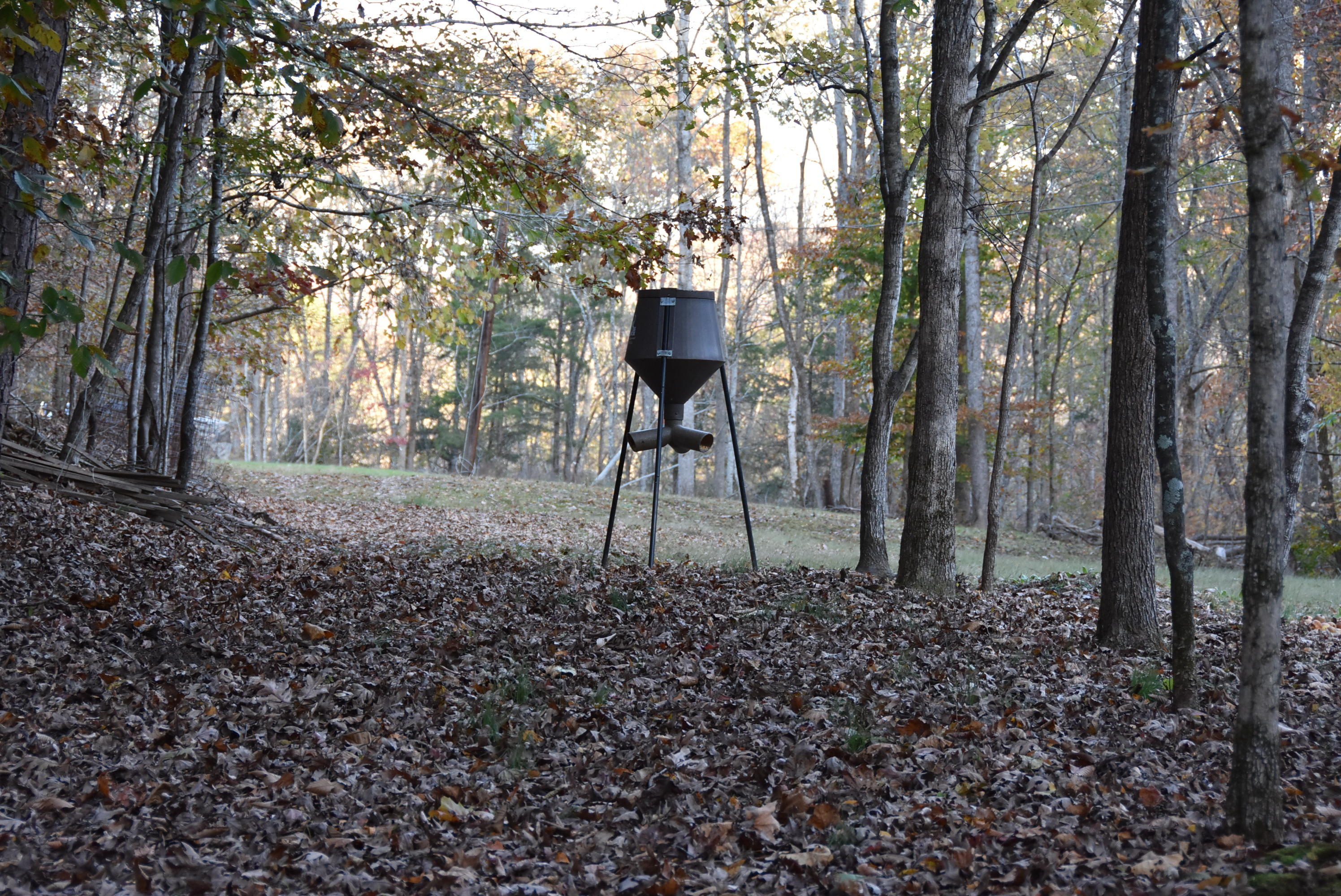 740 Harmon Road Somerset, KY 42501 - Photo 64 of 69 DSC_3273