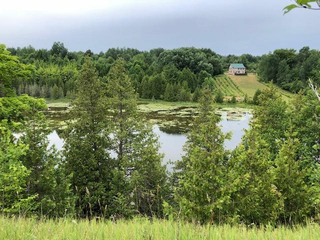 8495 North Black River Road Cheboygan, MI 49721 - Photo 4 of 30 Gallery Image 4