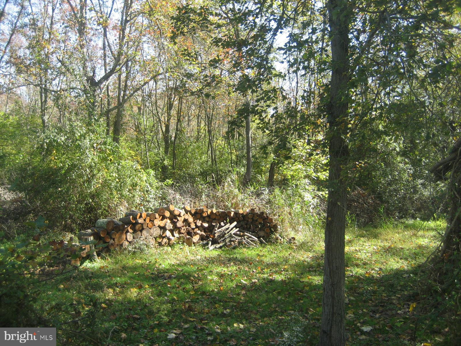205 Cedarbridge Road Monroeville, NJ 08343 - Photo 24 of 27