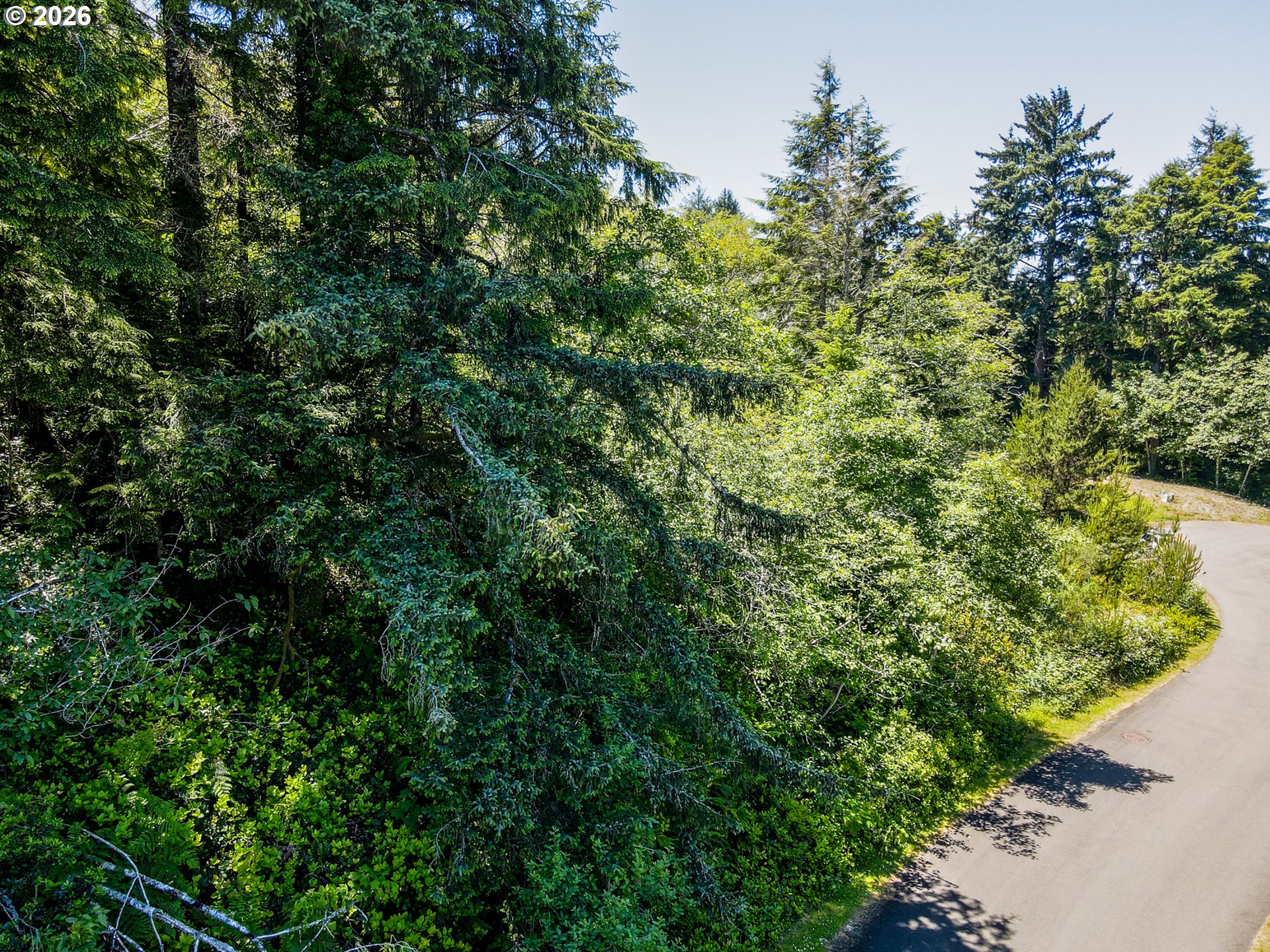 15 Dewolf Road, Unit LOT 15 Nehalem, OR 97131 - Photo 10 of 25