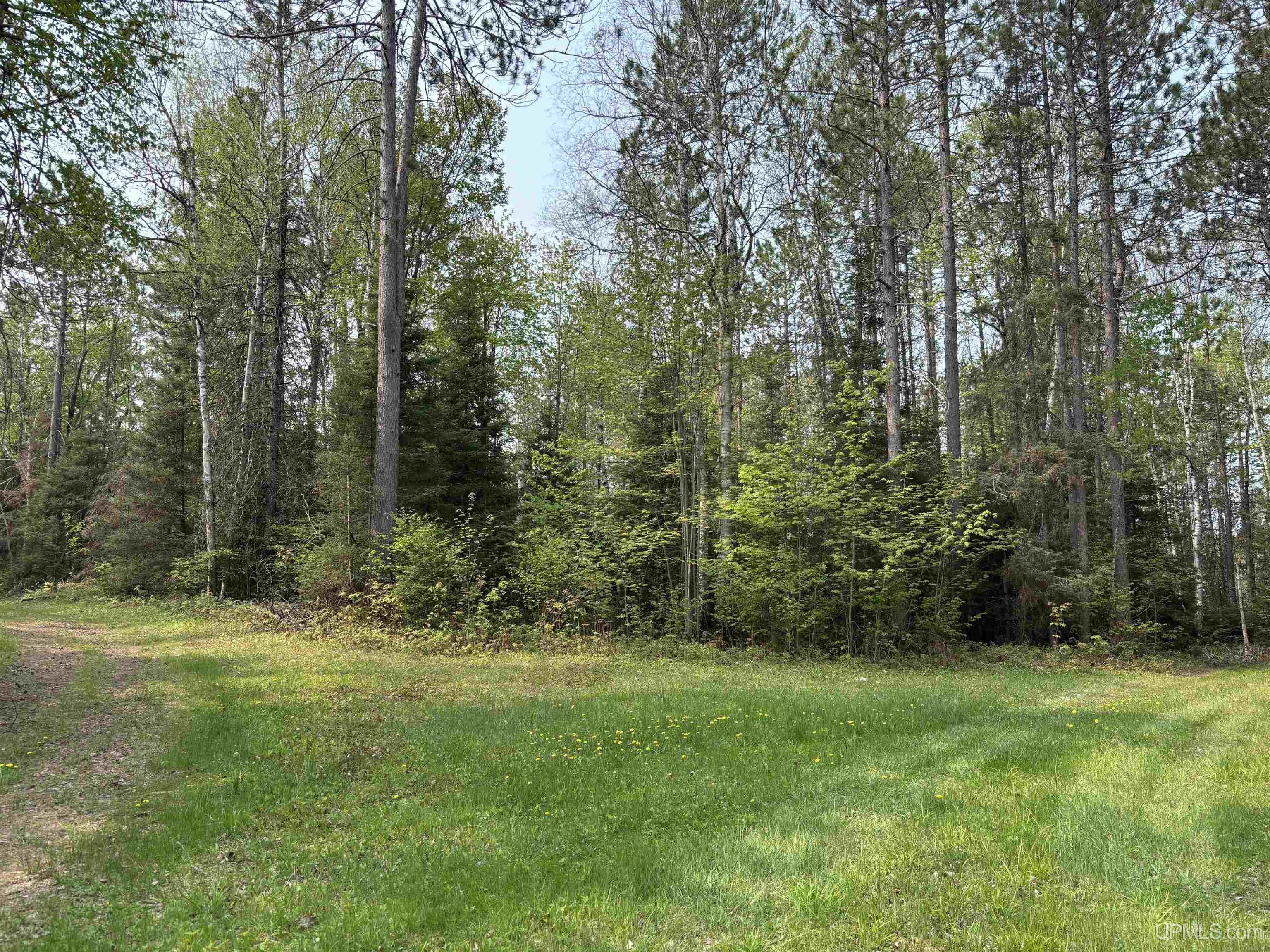3515 Bent Birch Road Ishpeming, MI 49849 - Photo 17 of 17
