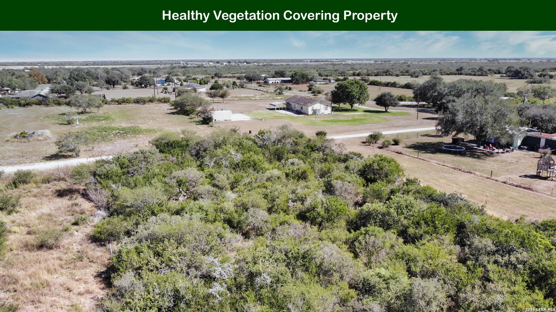 0 Private Road Beeville, TX 78102 - Photo 14 of 33