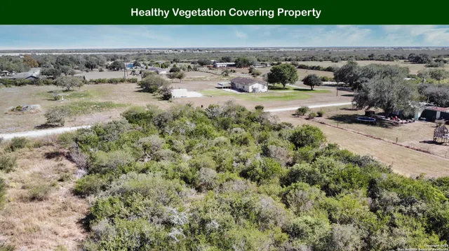 a view of path along with trees