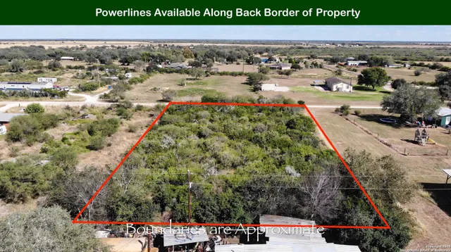 a view of a bunch of trees and flowers