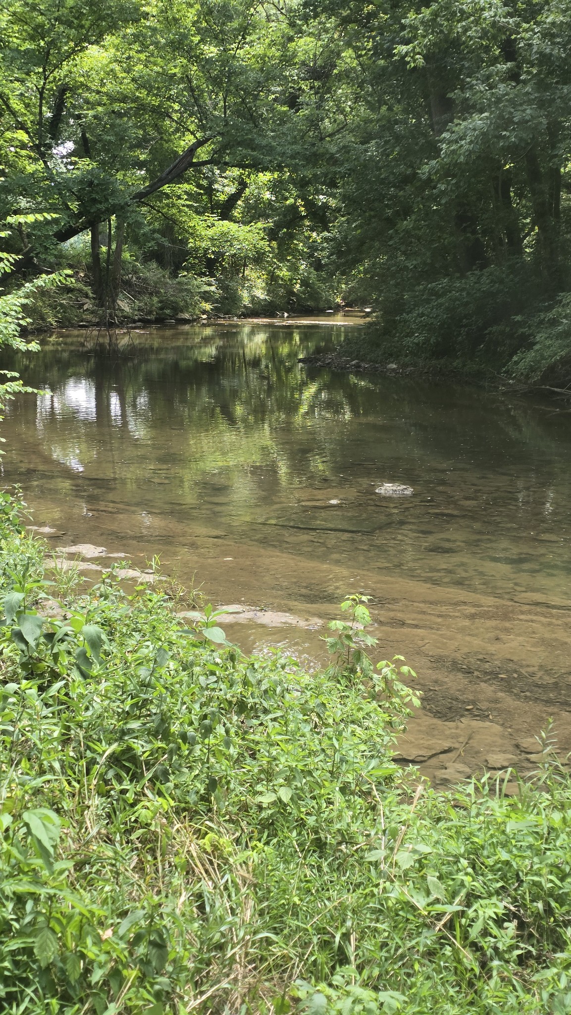 34 Short Road Petersburg, TN 37144 - Photo 22 of 24 Gallery Image 22