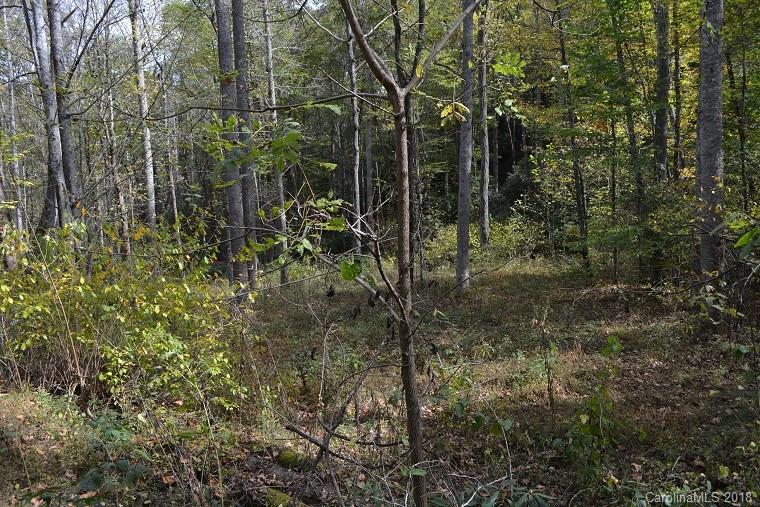 Lot 6 Shook Cove Road Tuckasegee, NC 28783 - Photo 3 of 10 Gallery Image 3