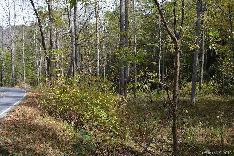 Lot 6 Shook Cove Road Tuckasegee, NC 28783 - Photo 5 of 10 Gallery Image 5