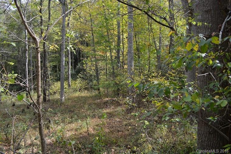 Lot 6 Shook Cove Road Tuckasegee, NC 28783 - Photo 6 of 10 Gallery Image 6