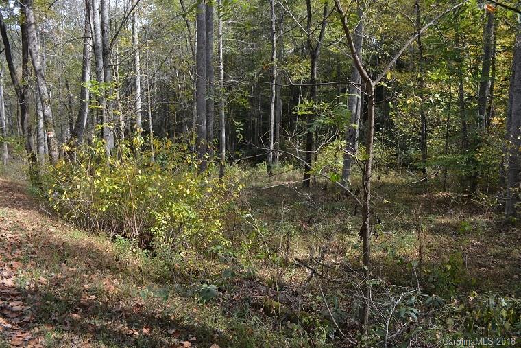 Lot 6 Shook Cove Road Tuckasegee, NC 28783 - Photo 7 of 10 Gallery Image 7