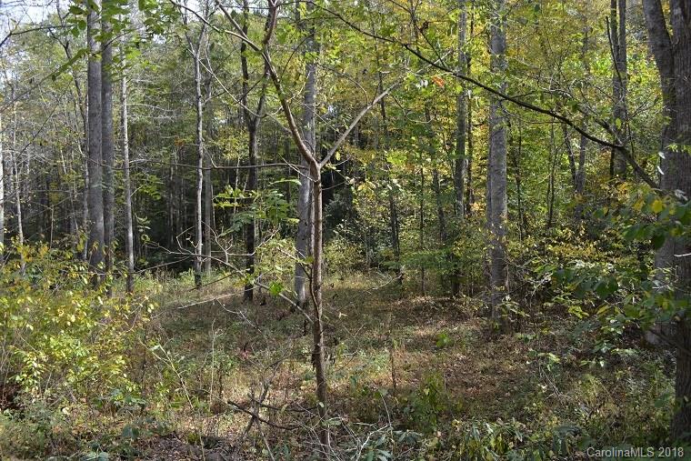 Lot 6 Shook Cove Road Tuckasegee, NC 28783 - Photo 8 of 10 Gallery Image 8