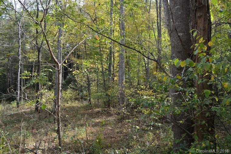 Lot 6 Shook Cove Road Tuckasegee, NC 28783 - Photo 9 of 10 Gallery Image 9