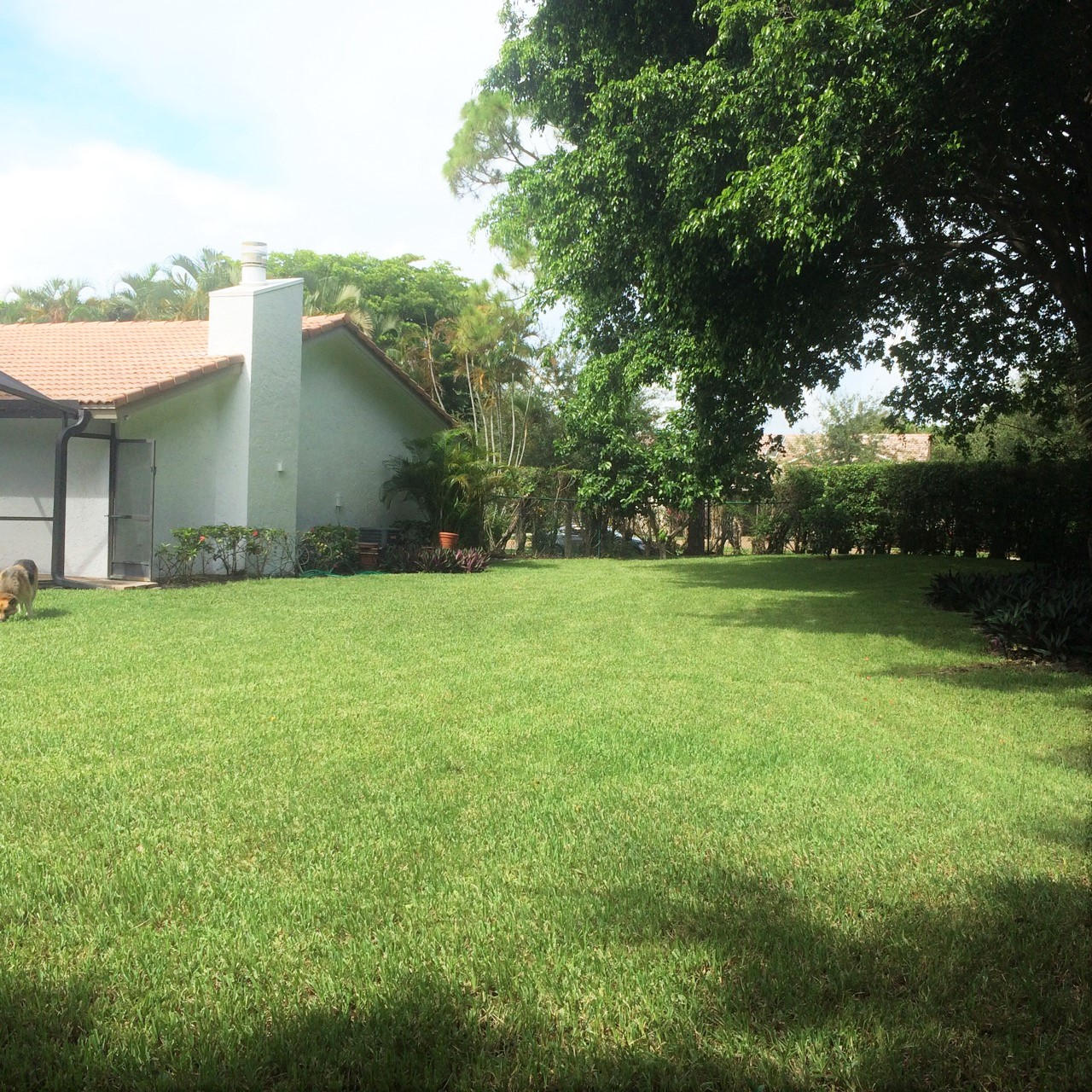 20763 Sorolla Terrace Boca Raton, FL 33433 - Photo 11 of 21 Plenty of outside play area