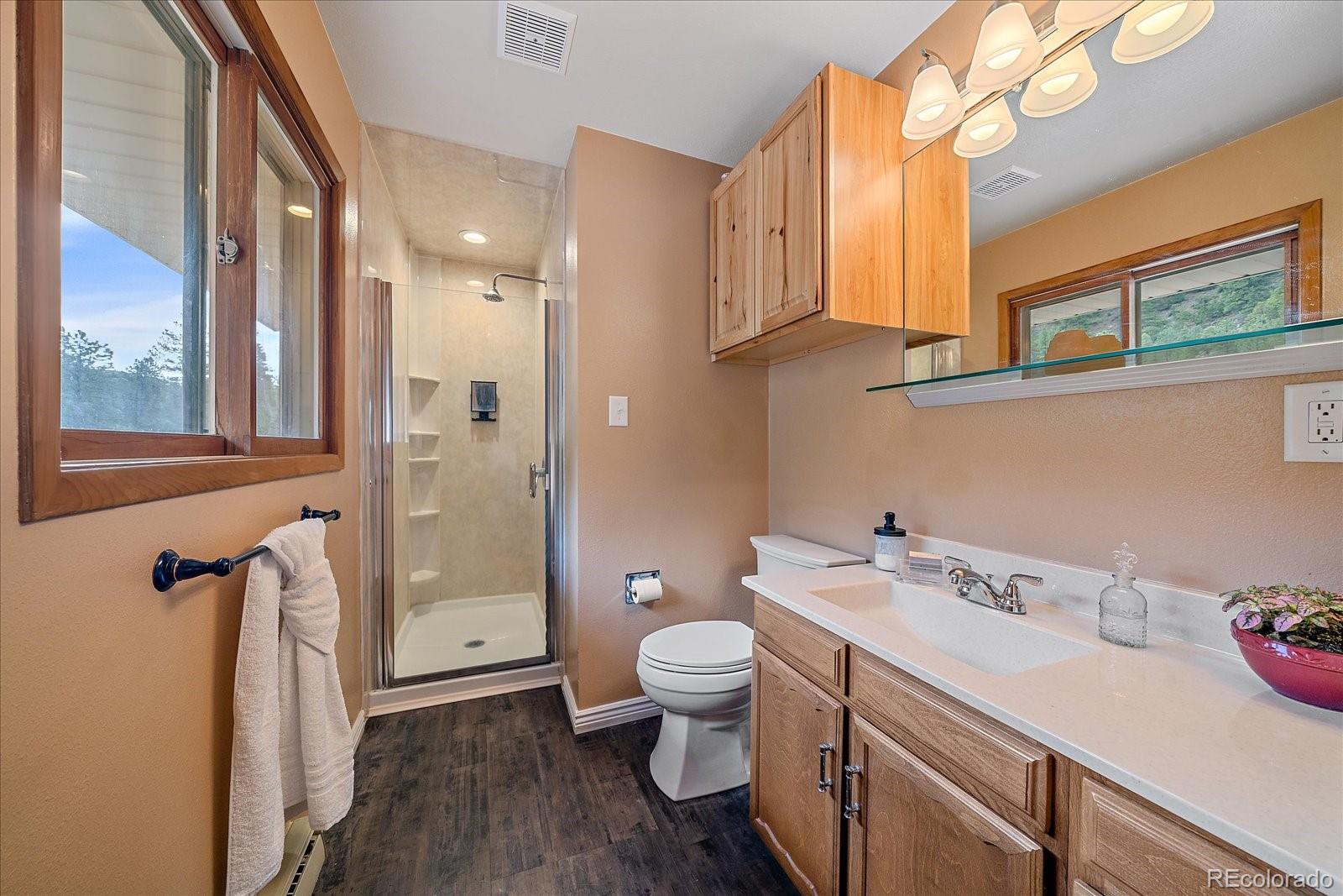 4253 Fall River Road Idaho Springs, CO 80452 - Photo 20 of 39 Gallery Image 20