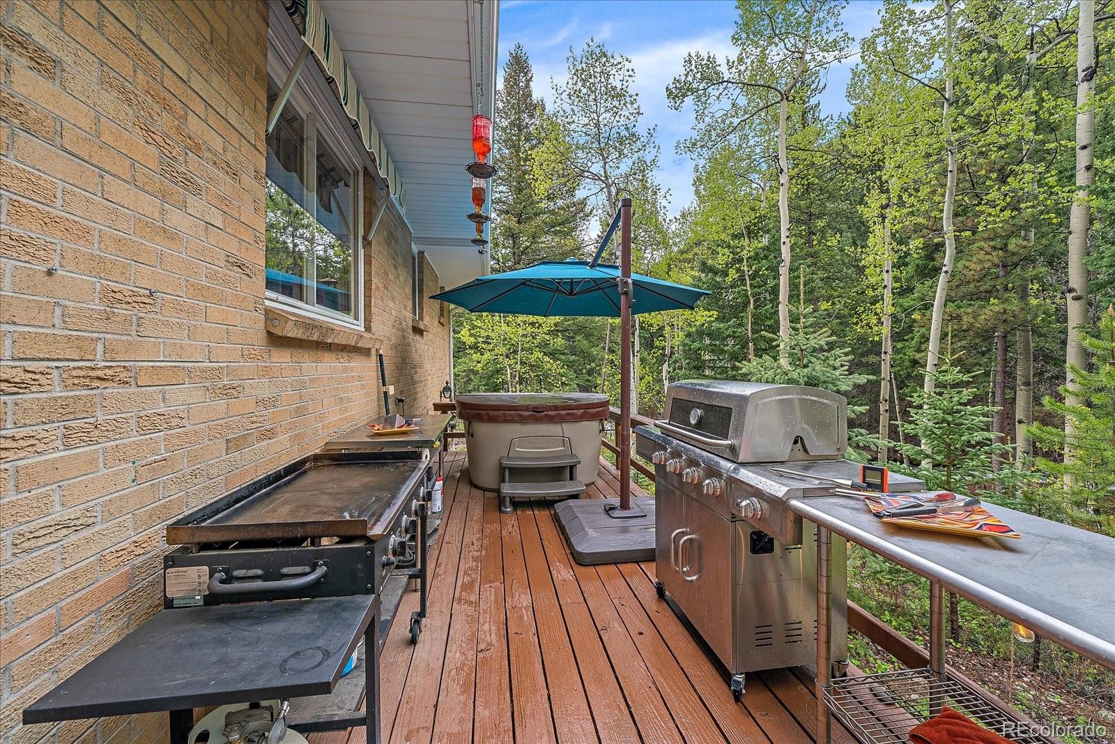 4253 Fall River Road Idaho Springs, CO 80452 - Photo 23 of 39 Gallery Image 23