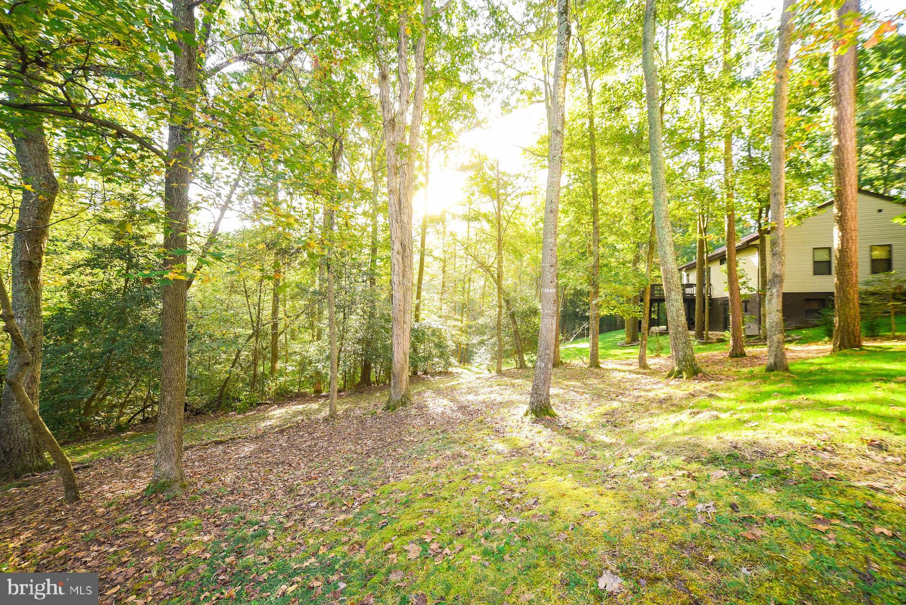 44575 Spinnaker Way California, MD 20619 - Photo 2 of 52 View out the back--pretty!