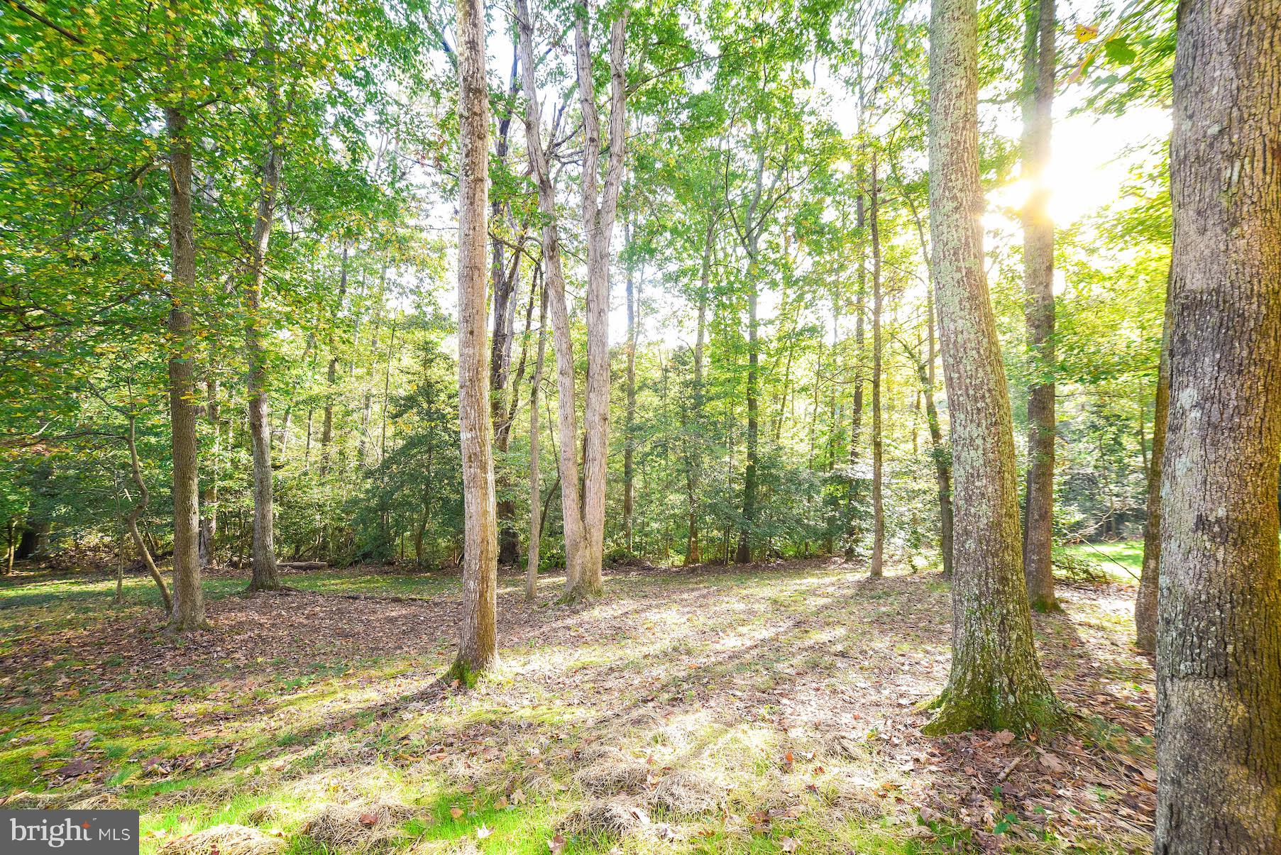44575 Spinnaker Way California, MD 20619 - Photo 47 of 52 Nice view!