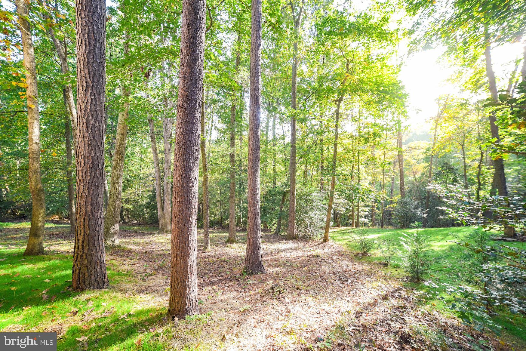 44575 Spinnaker Way California, MD 20619 - Photo 49 of 52 More of the lot