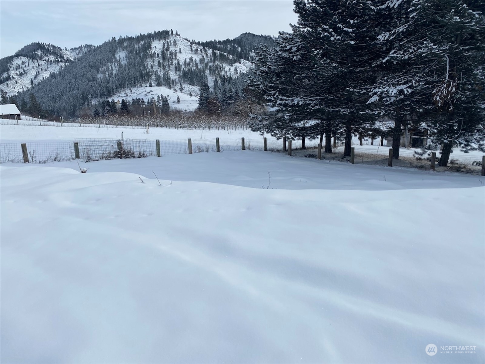 8190 Brender Canyon Road Cashmere, WA 98815 - Photo 5 of 10 Gallery Image 5