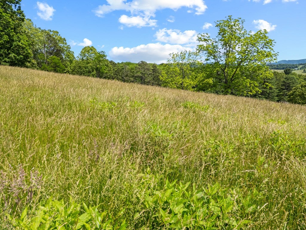 1714 Fort Chiswell Road Max Meadows, VA 24360 - Photo 66 of 100 Gallery Image 66