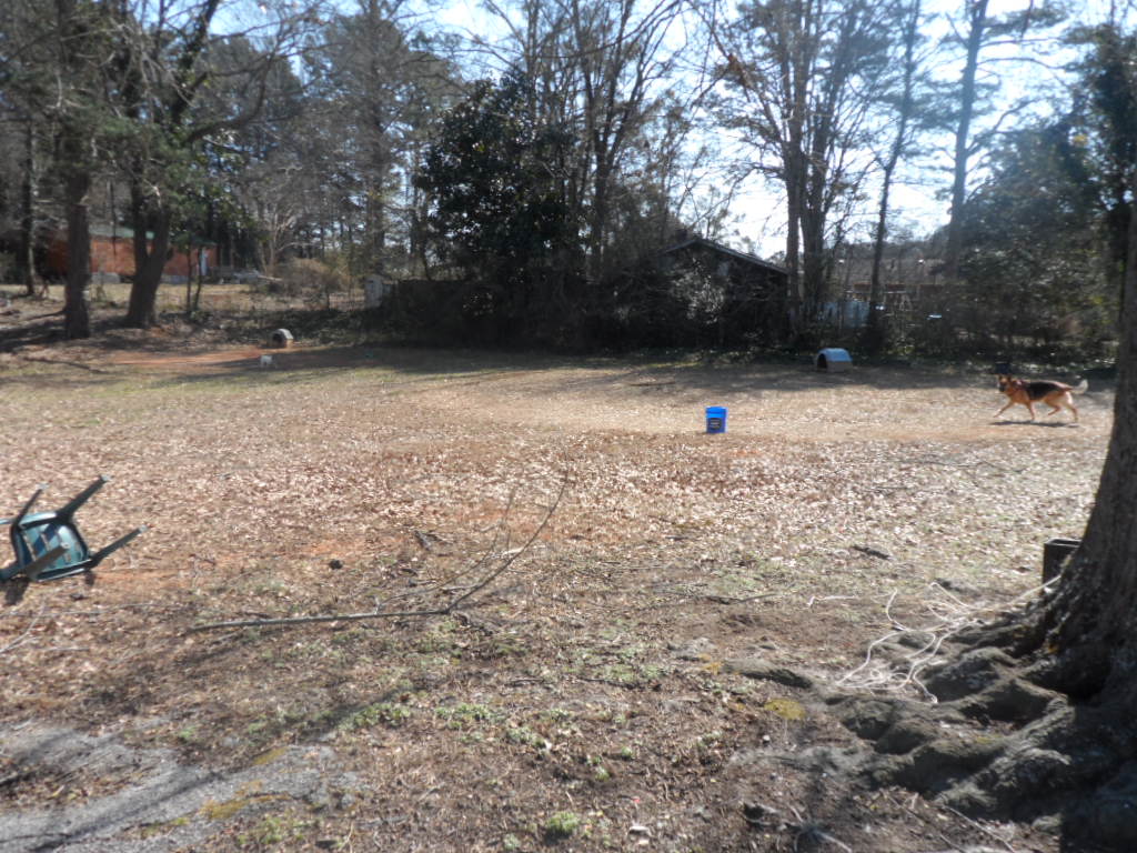 104-110 White Pine Road Toccoa, GA 30577 - Photo 47 of 49