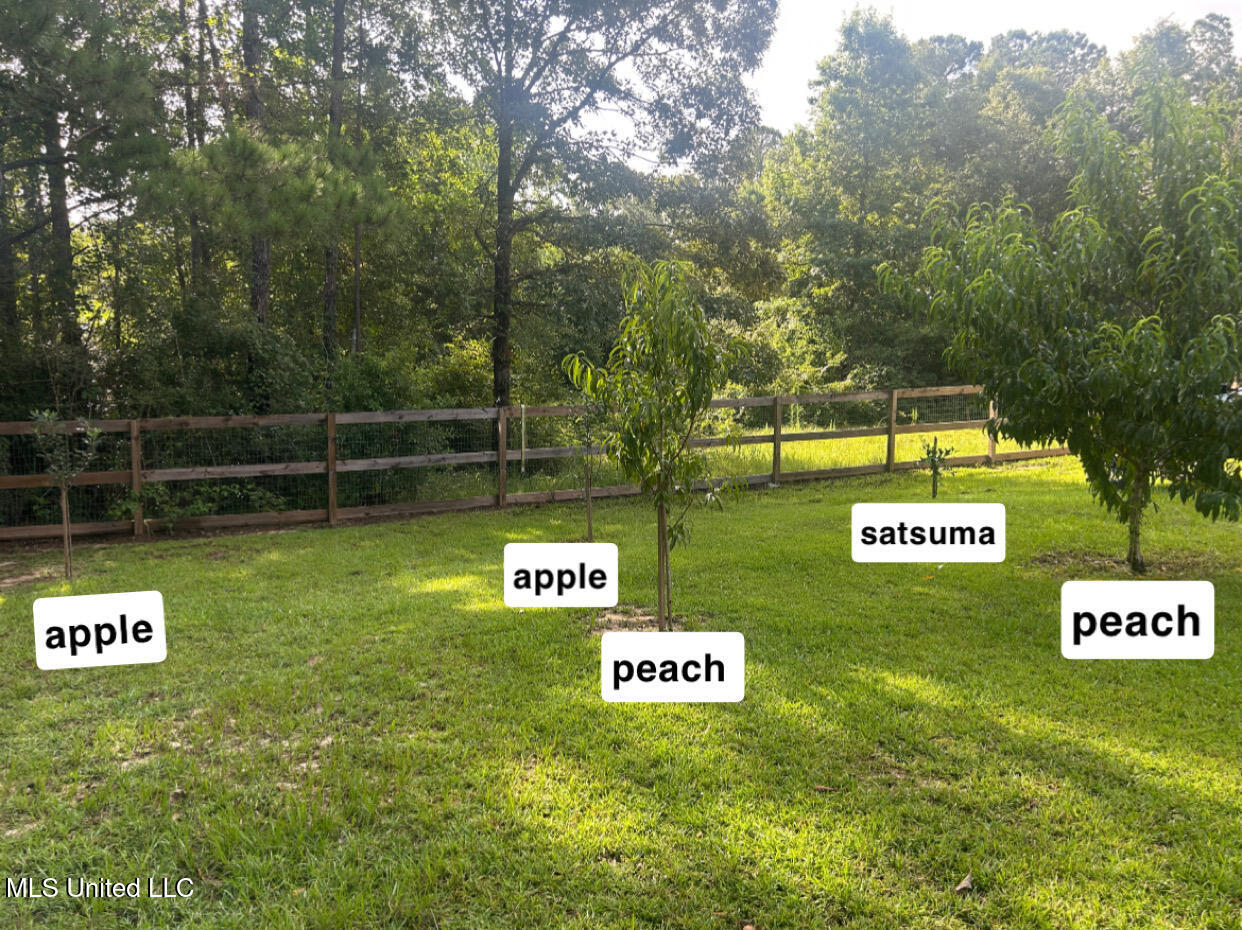 11 Olie Walker Road Perkinston, MS 39573 - Photo 16 of 18 IMG_4051